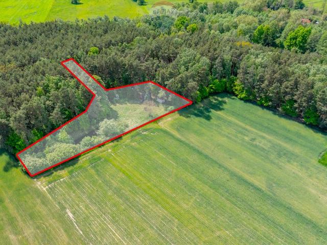 Działka 2300 m² z stawem i domkiem w Górach Prusinowskich