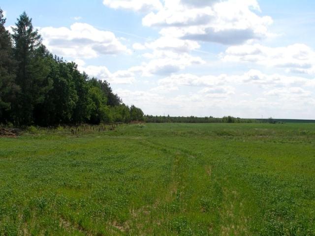 Działka 231 300 m², Stara Dąbrowa