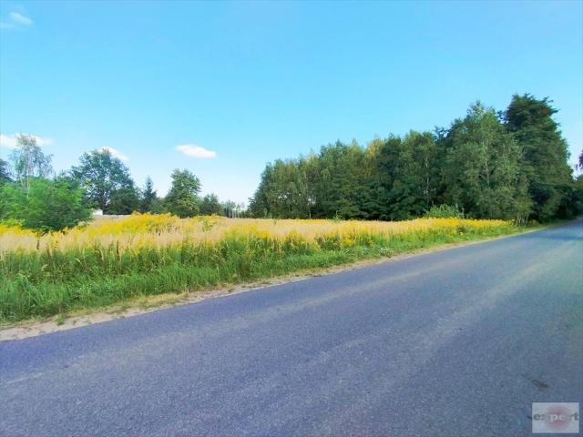 Działka 2366 m² pod zabudowę jednorodzinną, asfalt, media