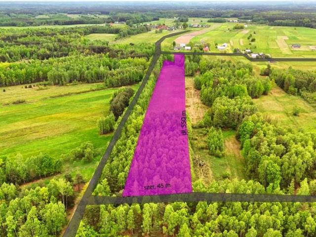 Działka 23 201 m², Wola Rusinowska