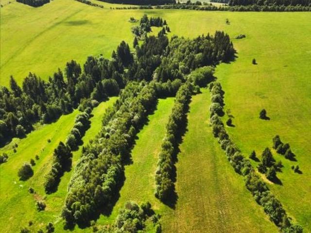 Działka 23 300 m², Kamieńczyk
