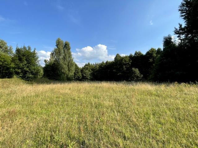 Działka 23 437 m², Kuty