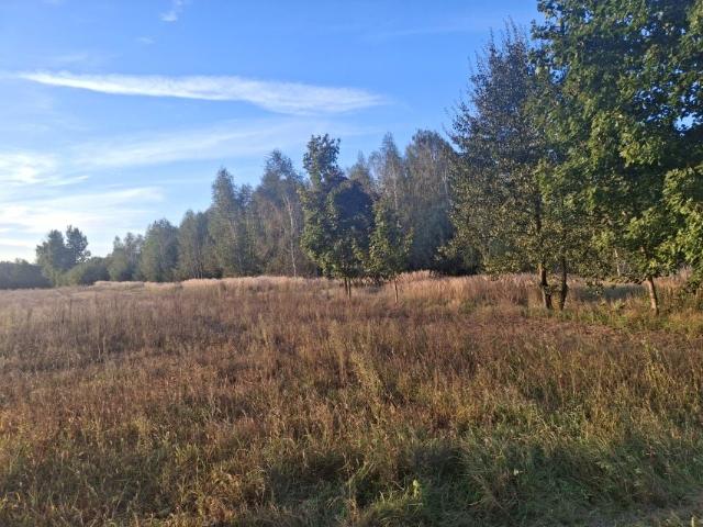 Działka 23 723 m², Dębniak