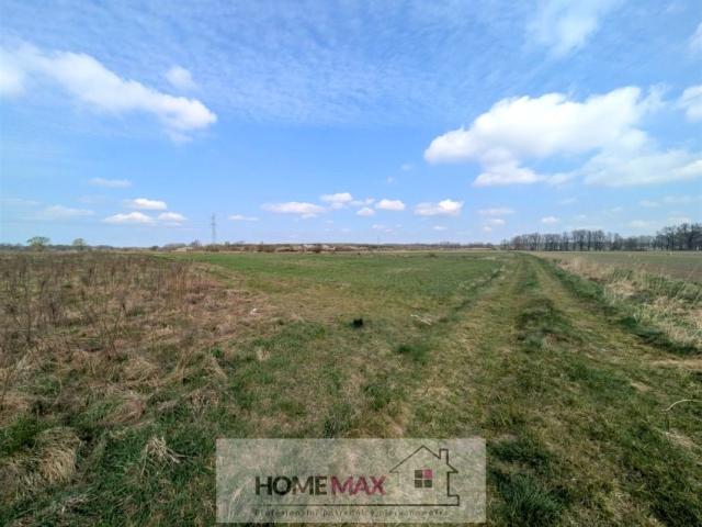 Działka 2 000 m², Grzymalin