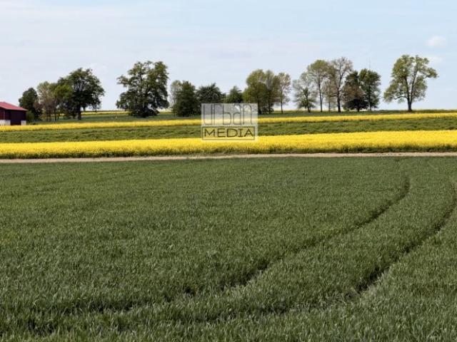 Działka 2 000 m², Fajsławice