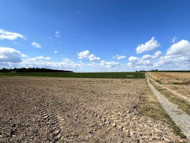 Działka 2 000 m², Jabłonna Majątek