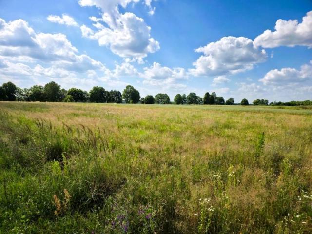Działka 2 000 m², Jaroszki