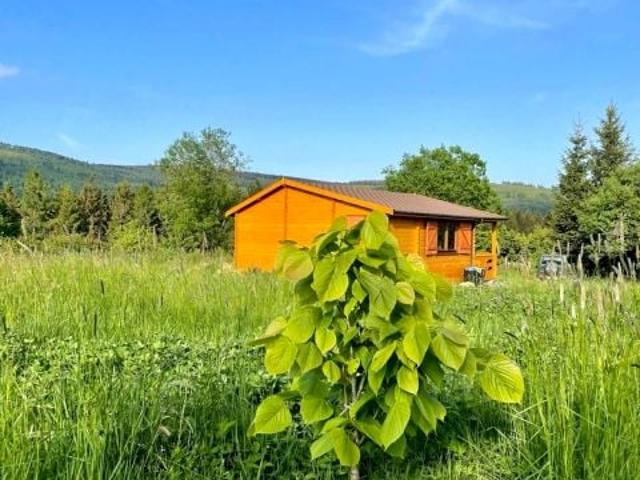 Działka 2 000 m², Sierpnica