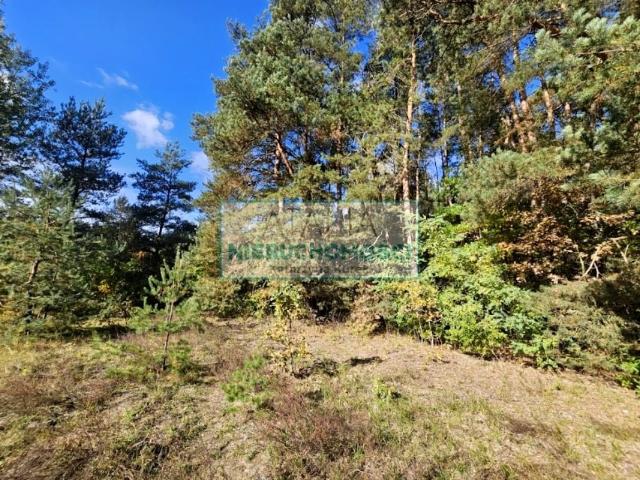 Działka 2 000 m², Strzeniówka