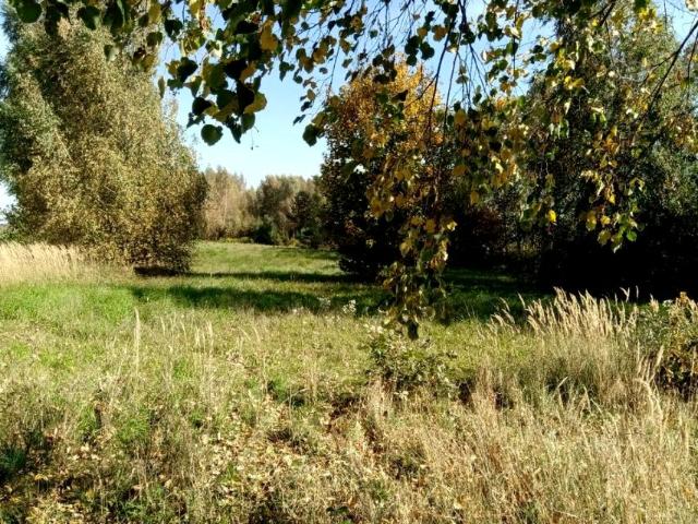 Działka 2 000 m², Piotrowice