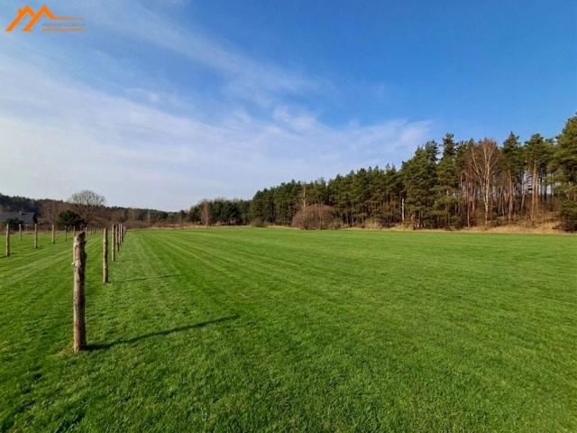 Działka 2 000 m², Pszczelnik