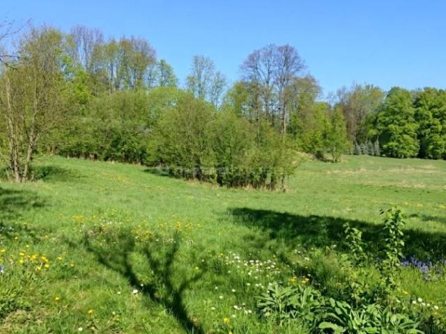 Działka 2 000 m², Ziemiary