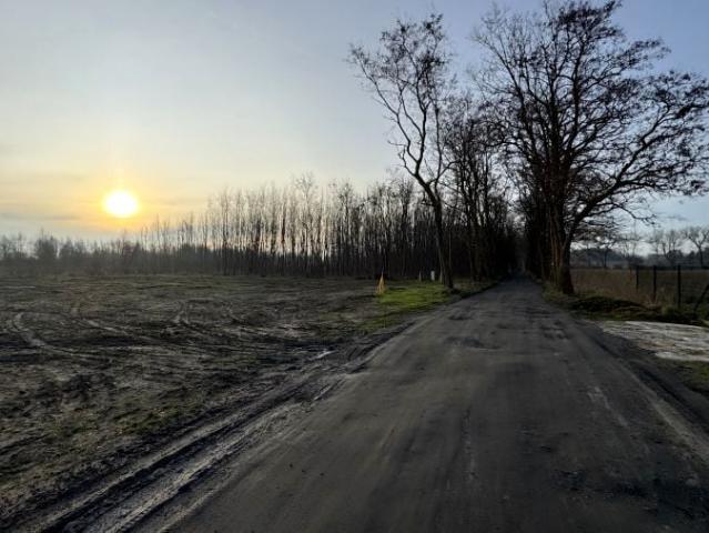 Działka 2 002 m², Buniewice