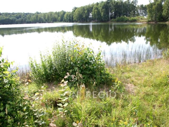 Działka 2 010 m², Teresin