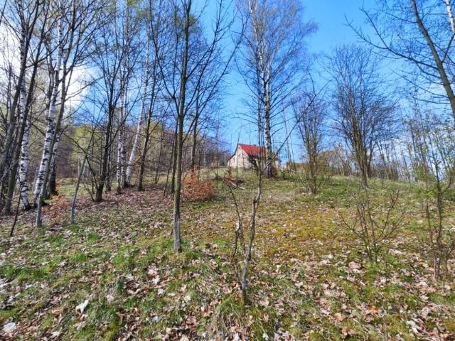 Działka 2 022 m², Piechowice