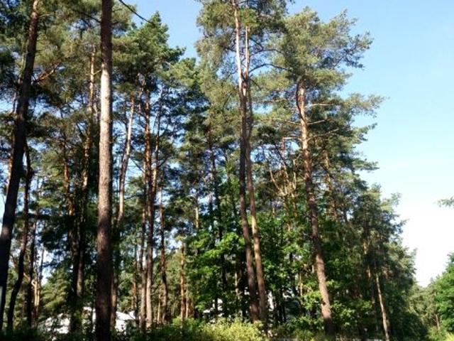 Działka 2 044 m², Magdalenka