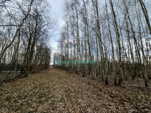 Działka 2 050 m², Słubica B