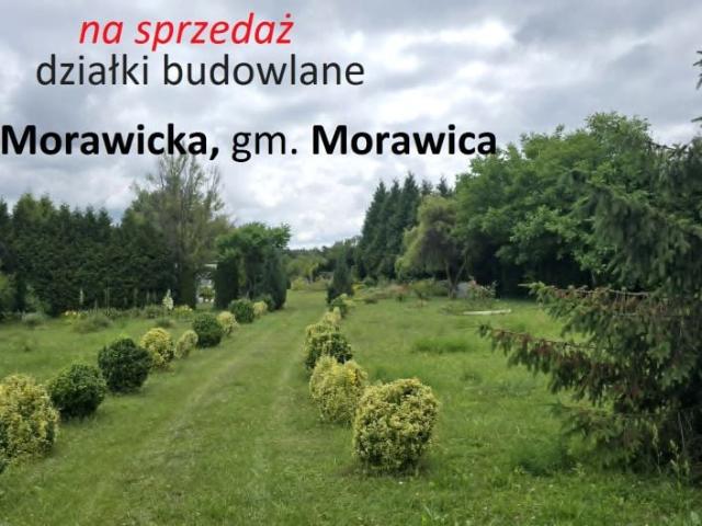 Działka 625 m², Wola Morawicka