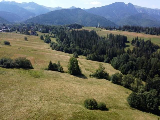 Działka 2 105 m², Zakopane