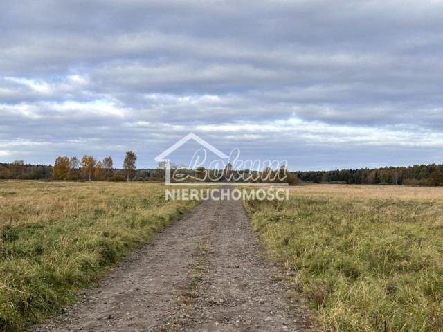 Działka 2 103 m², Niedźwiedź
