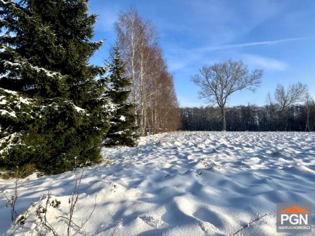 Działka 2 134 m², Ładzin