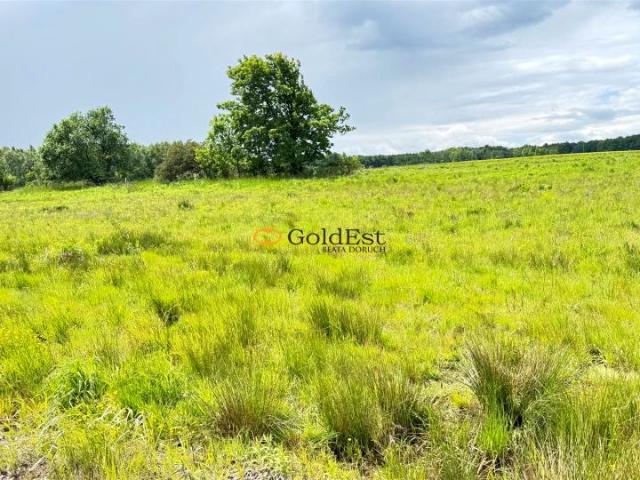 Działka 2 140 m², Modliszów