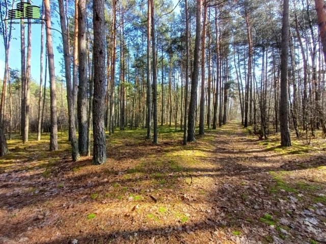 Działka 2 173 m², Tanica Górna