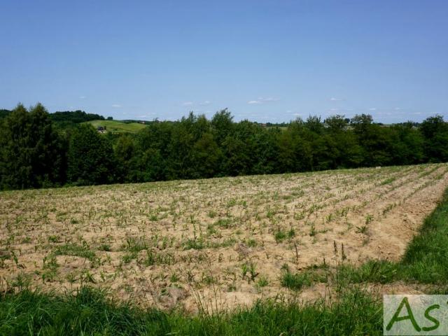 Działka 2 250 m², Zelków