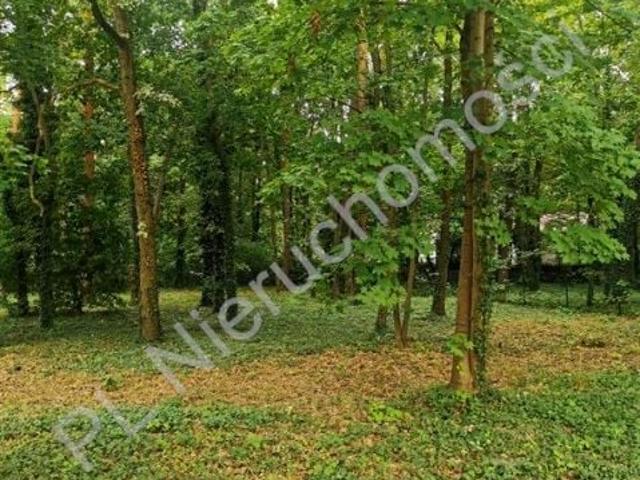 Działka 2 182 m², Podkowa Leśna