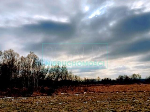 Działka 2 209 m², Grodzisk Mazowiecki