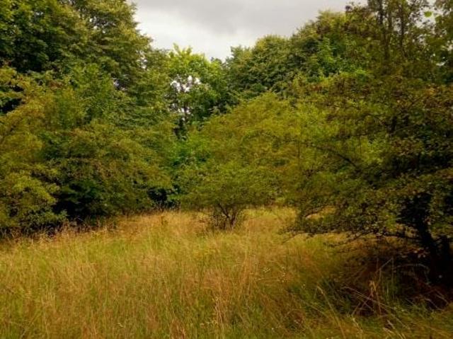 Działka 2 200 m², Kiszkowo