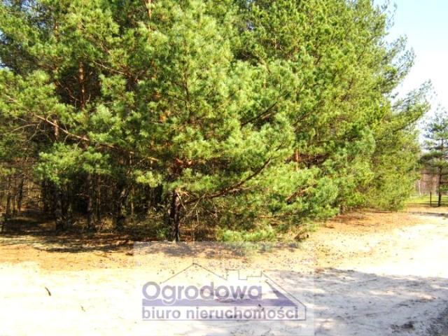 Działka 2 200 m², Urle