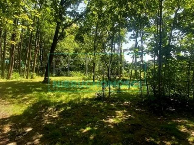 Działka 2 243 m², Podkowa Leśna