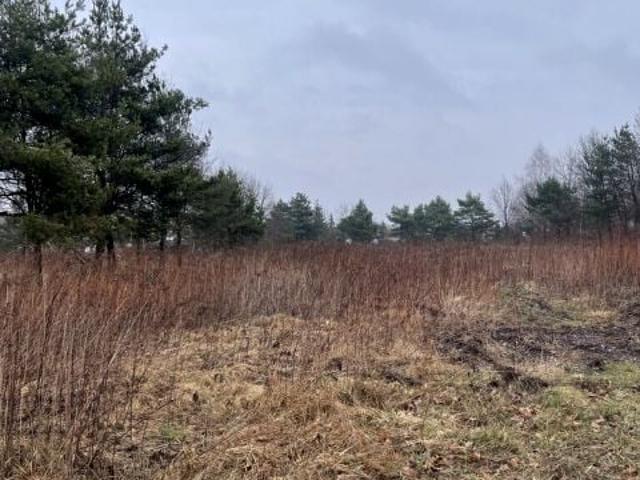 Działka 2 261 m², Radzymin