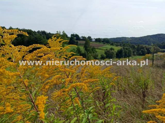 Działka 2 300 m², Raciechowice