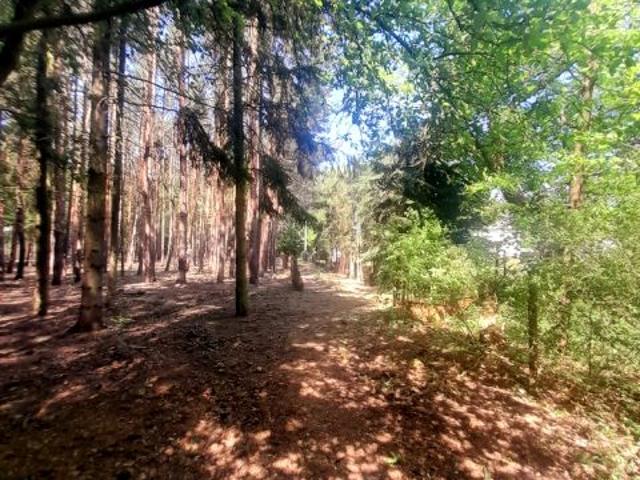 Działka 2 319 m², Czarnów