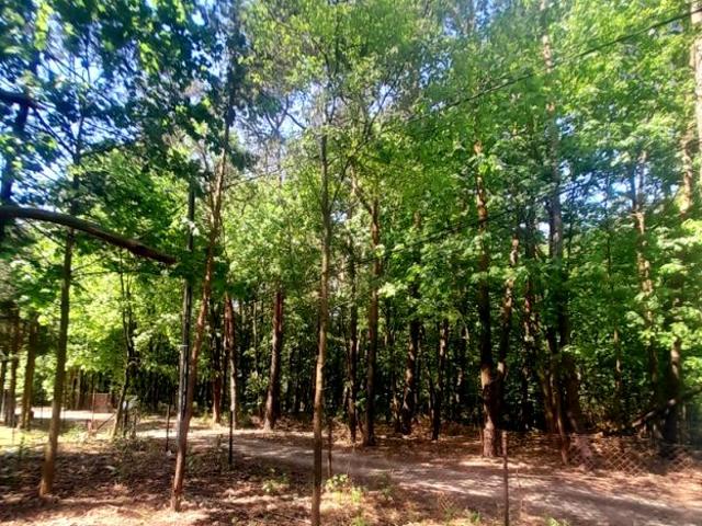 Działka 2 319 m², Czarnów