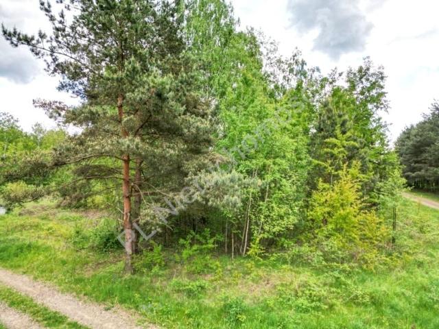Działka 2 345 m², Makówka