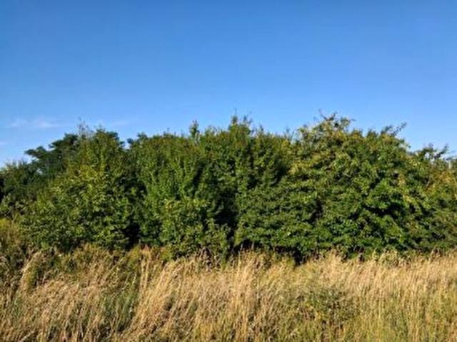 Działka 2 349 m², Kościerzyce