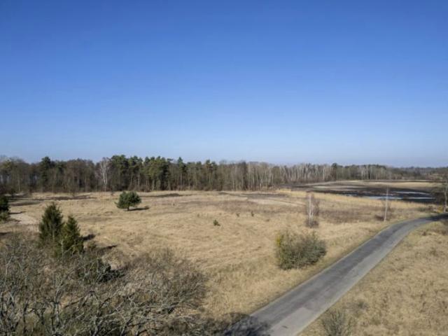 Działka 2 341 m², Myślibórz