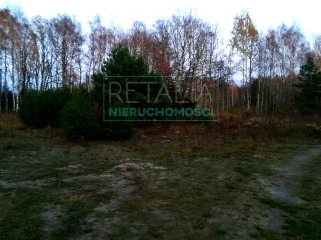 Działka 2 350 m², Szczęsne