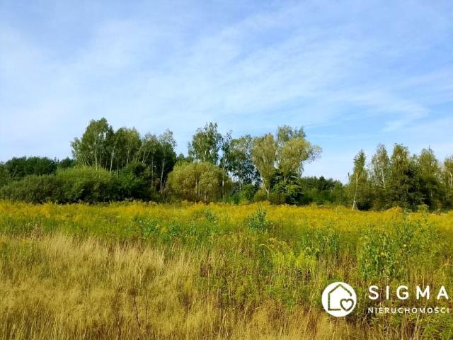 Działka 2 360 m², Bednary
