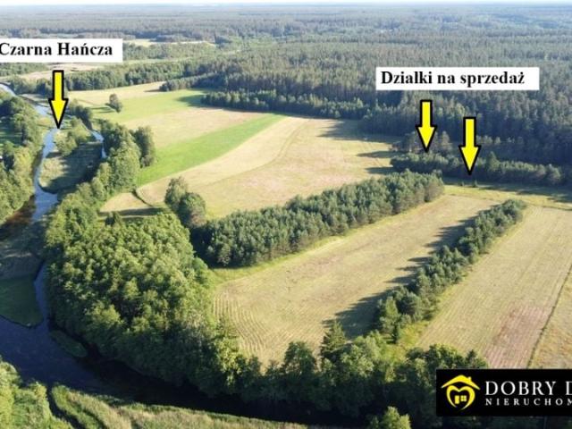 Działka 2 362 m², Sarnetki