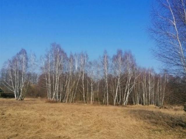 Działka 2 371 m², Złotoria