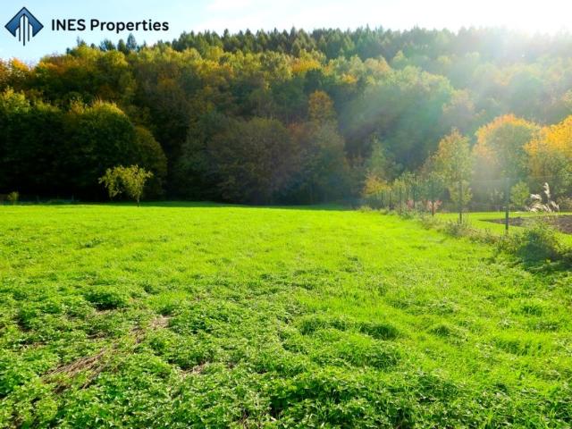 Działka 2 380 m², Konary