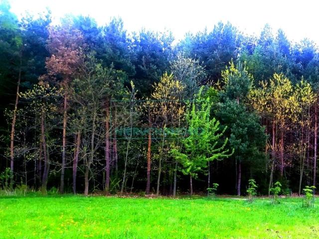 Działka 2 395 m², Słubica A