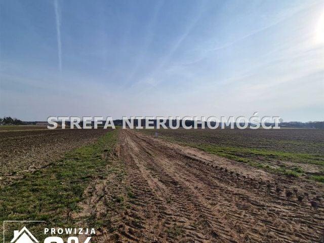 Działka 2 416 m², Modrzewek