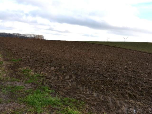 Działka 2 410 m², Bielice