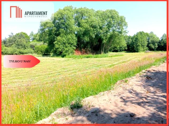 Działka 2 459 m², Czarne Błoto