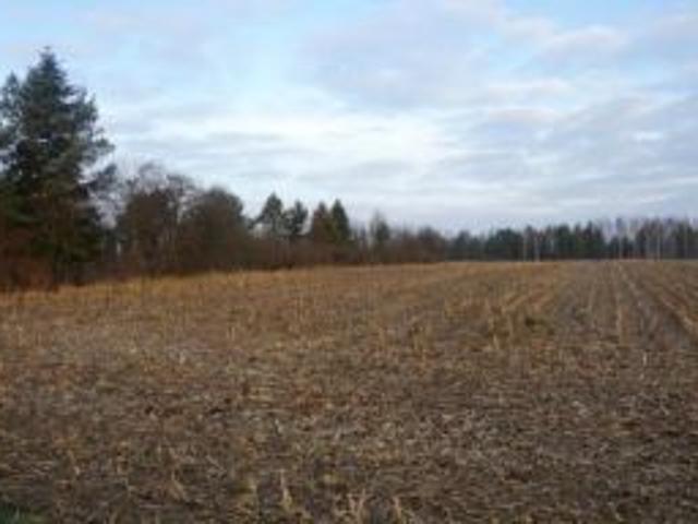 Działka 2 461 m², Łęczyca